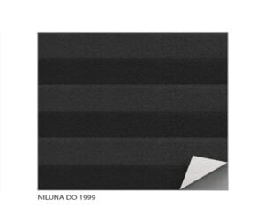 Niluna Do 1999